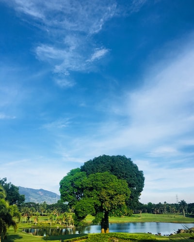 绿树蓝天白天
